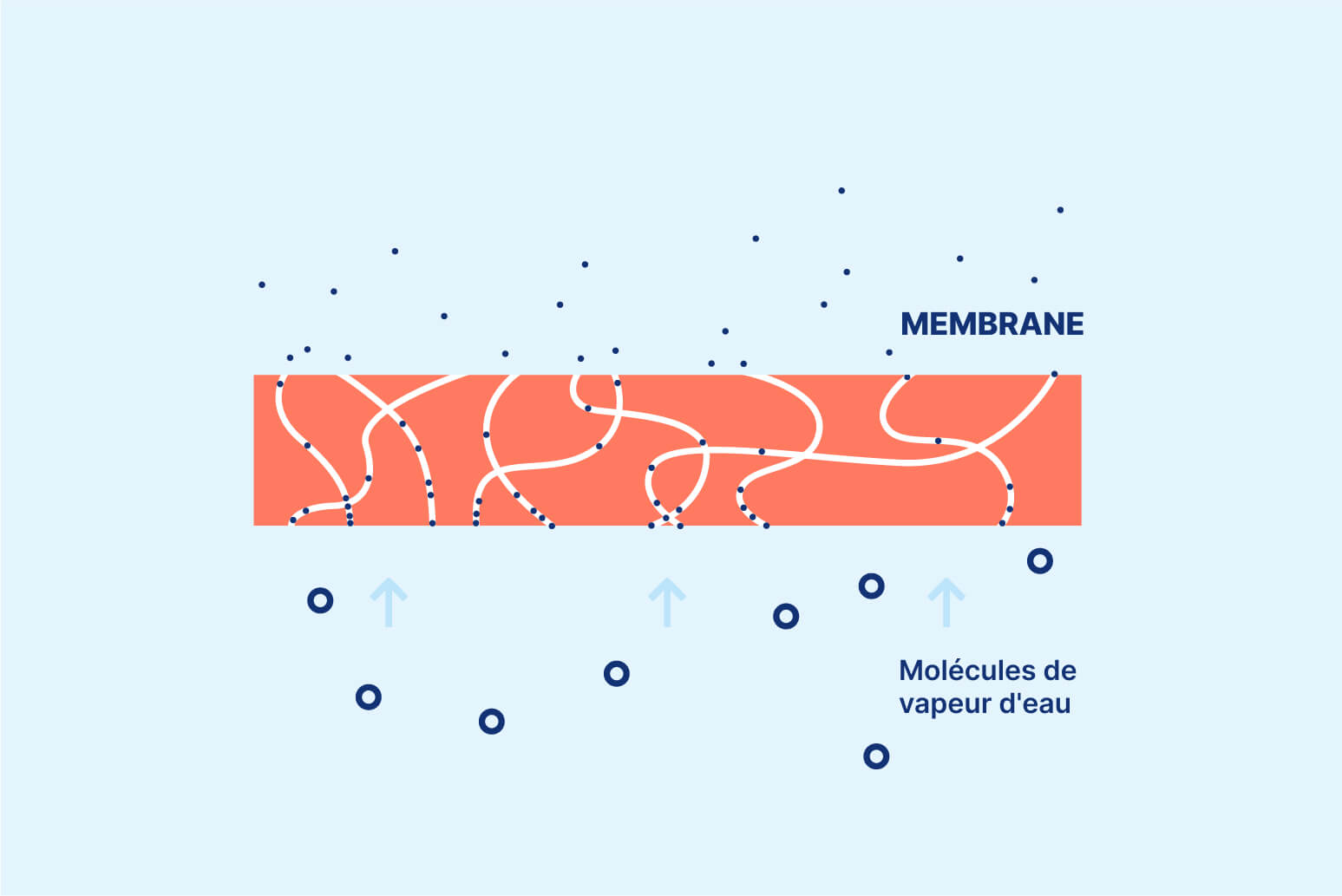 ® Sympatex - Membrane Sympatex® respirante