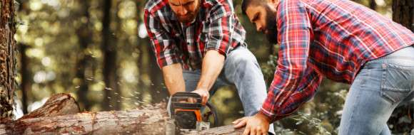 Lumberjack / Pruner