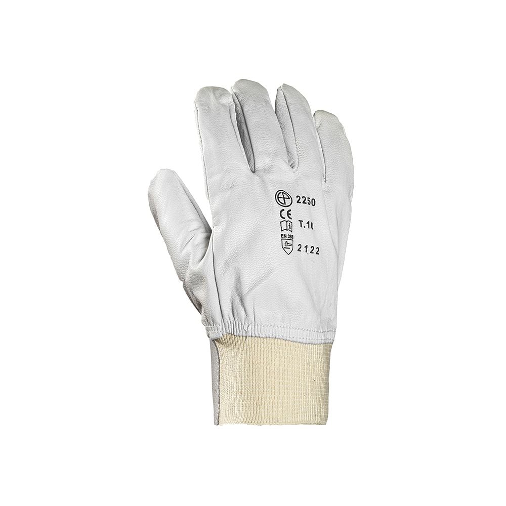 Gants de protection Eurotechnique Maitrise avec protège-artère (lot de 10) blanc extérieur