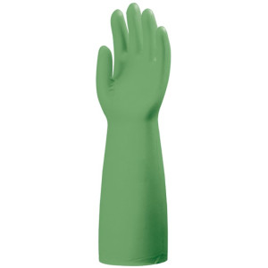 Vert