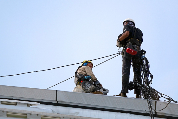 What is the lifespan of the safety harness?