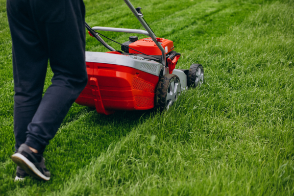 Quali pantaloni da lavoro scegliere per il giardinaggio?