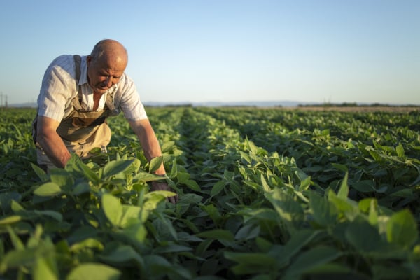 The different working clothes of farmers