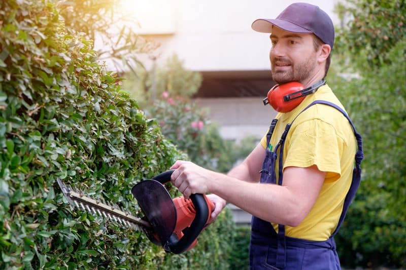 trova il tuo vestito da lavoro per lo spazio verde